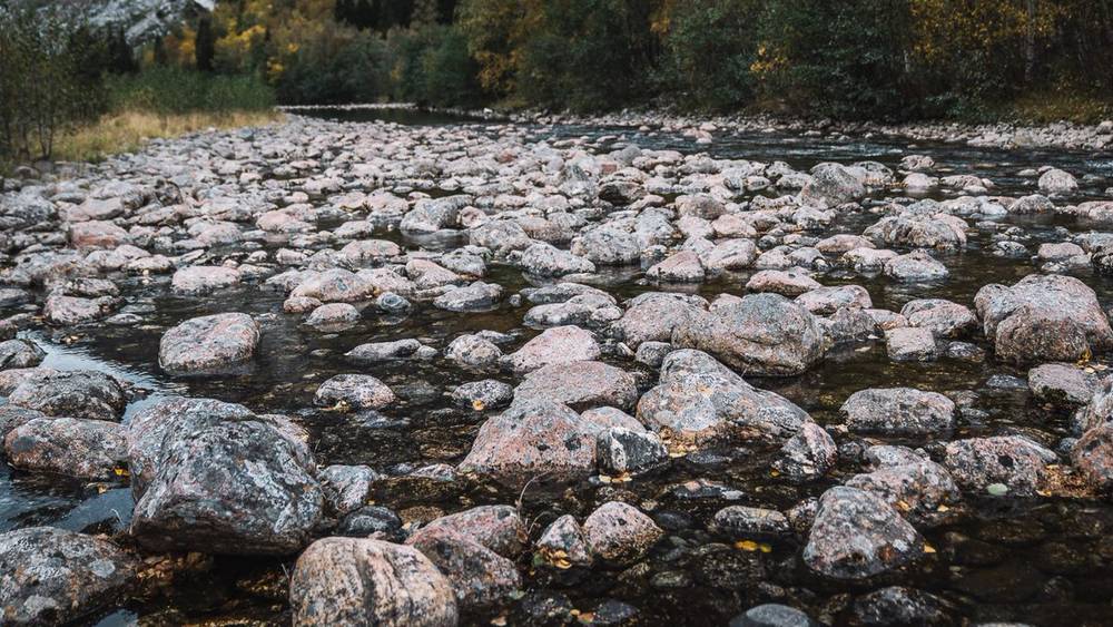 Forskjellige interesser gir forskjellige standpunkter
Deler av elven Aura i Møre og Romsdal er fullstendig tørrlagt grunnet vannkraft. I andre elver står det enda dårligere til.
Foto: Christine Fagerbakke