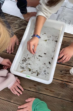 finn ut hvilke organismer som lever i bekken eller elva