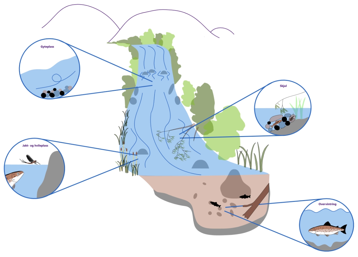 Eksempel på et godt leveområde for ørret.