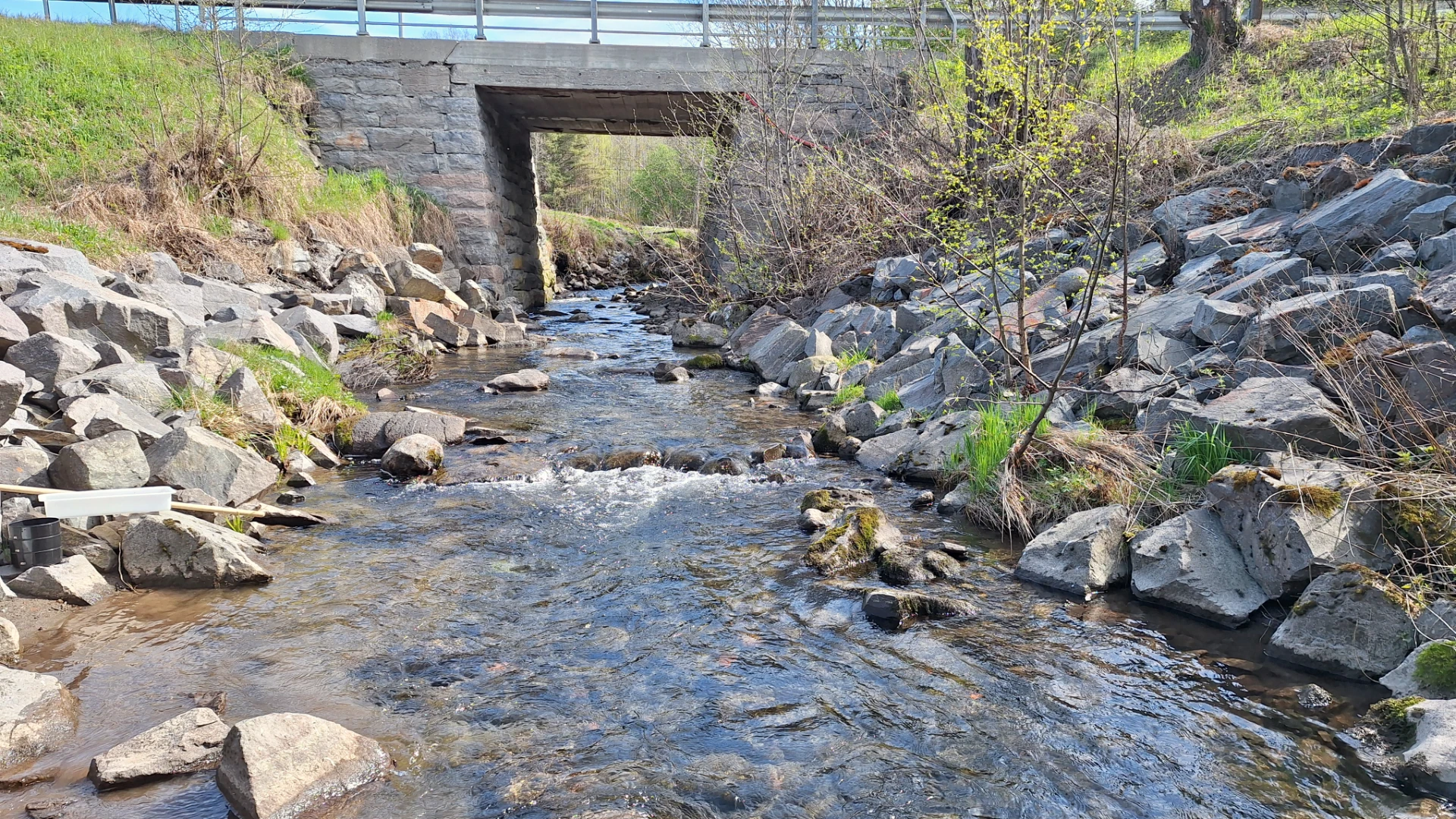 Livet i vann Vangselva fysiske inngrep