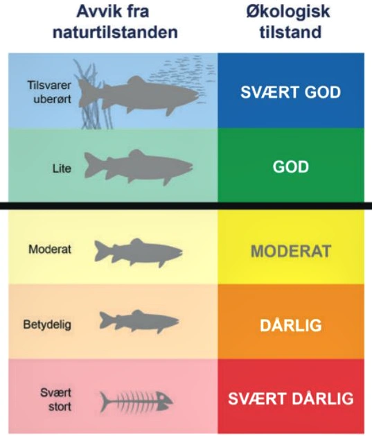 Vannmiljø økologisk tilstand